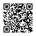 QR_Code_132